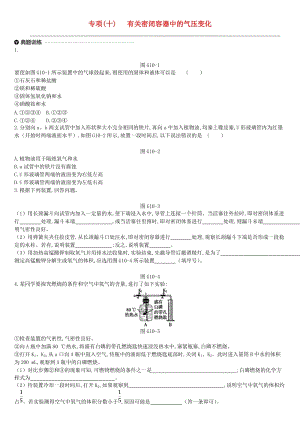 江蘇省徐州市2019年中考化學專項復習 專項（十）有關密閉容器中的氣壓變化練習.doc