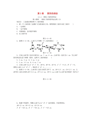 九年級(jí)數(shù)學(xué)上冊(cè) 第3章 圖形的相似 3.4.1 相似三角形的判定 第4課時(shí) 相似三角形的判定定理（3）同步練習(xí) 湘教版.doc