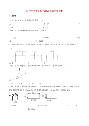 湖南省邵陽市中考數(shù)學(xué)提分訓(xùn)練 圖形認識初步（含解析）.doc