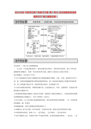 2019-2020年高考生物一輪復(fù)習(xí)方案 第一單元 走近細(xì)胞和組成細(xì)胞的分子 新人教版必修1.doc