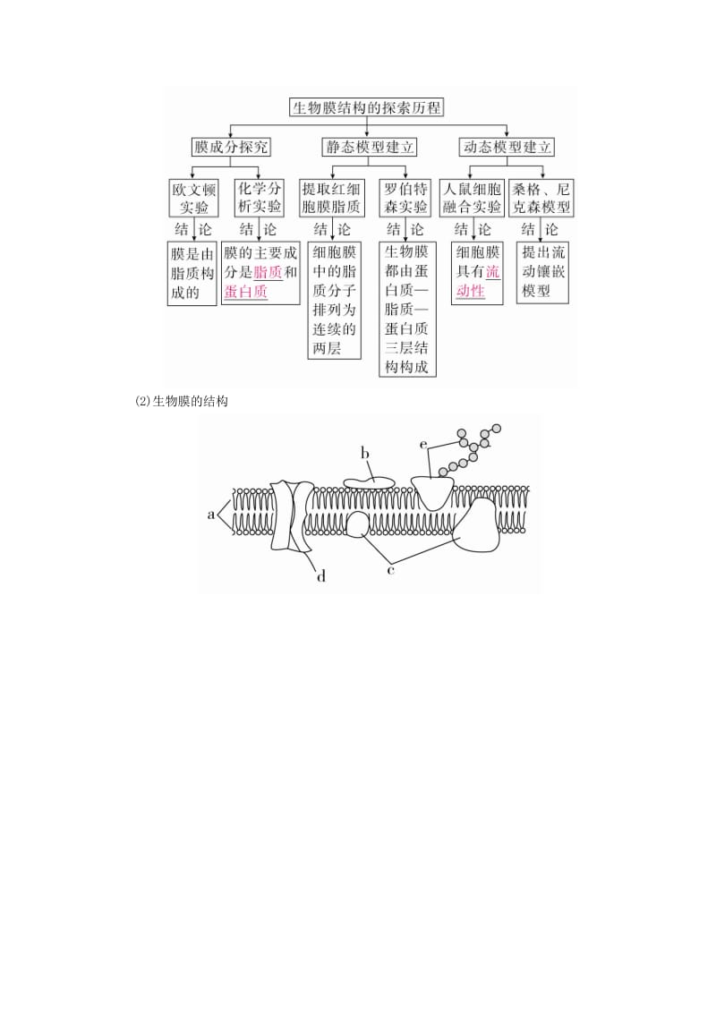 全国版2019版高考生物一轮复习第5讲细胞膜和细胞核培优学案.doc_第2页