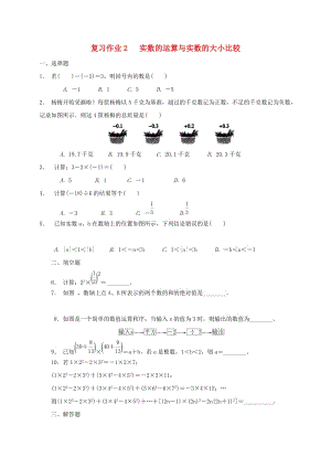 江蘇省淮安市淮陰區(qū)凌橋鄉(xiāng)九年級數(shù)學(xué)下學(xué)期復(fù)習(xí)作業(yè)2 實(shí)數(shù)的運(yùn)算與實(shí)數(shù)的大小比較.doc