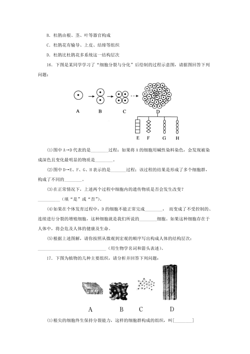 七年级科学上册 2.3 生物体的结构层次同步练习 （新版）浙教版.doc_第3页