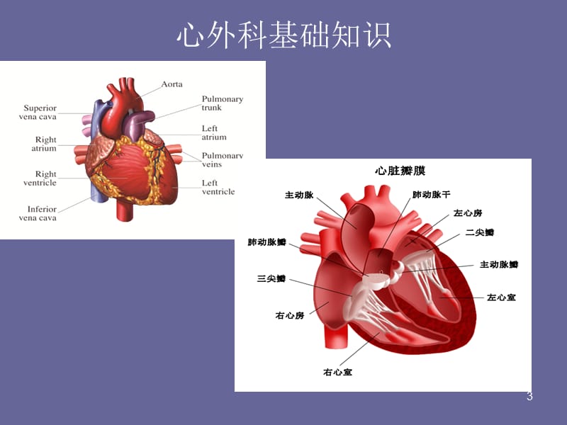 心胸外科健康宣教ppt课件_第3页