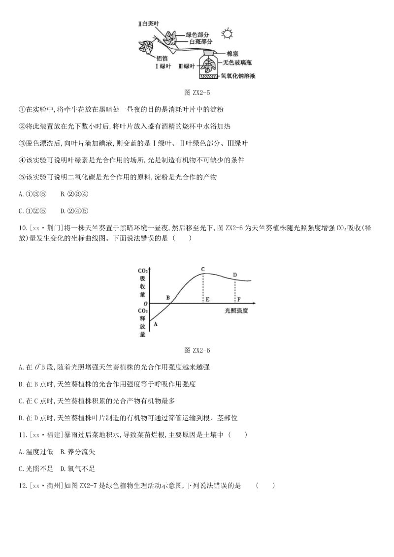 北京市2019年中考生物复习 专项训练02 绿色植物的光合、呼吸、蒸腾三大生理作用.doc_第3页