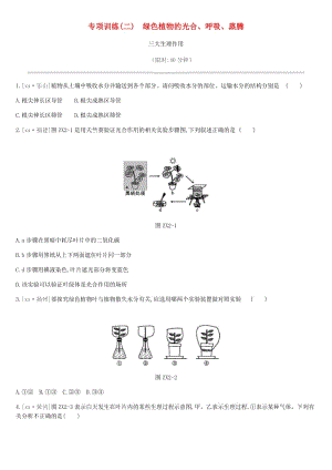 北京市2019年中考生物復(fù)習(xí) 專項訓(xùn)練02 綠色植物的光合、呼吸、蒸騰三大生理作用.doc