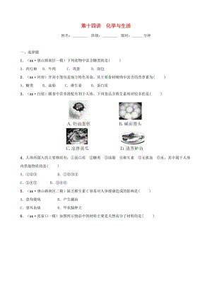 河北省2019年中考化學(xué)一輪復(fù)習(xí) 第十四講 化學(xué)與生活練習(xí).doc