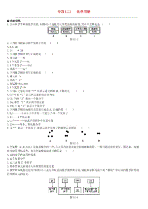 江蘇省徐州市2019年中考化學(xué)專項復(fù)習(xí) 專項（二）化學(xué)用語練習(xí).doc