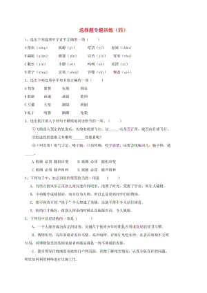 湖北省丹江口市中考語(yǔ)文選擇題專題訓(xùn)練四無(wú)答案.doc