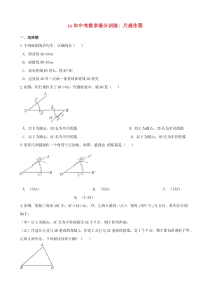 湖南省邵陽市中考數(shù)學(xué)提分訓(xùn)練 尺規(guī)作圖（含解析）.doc