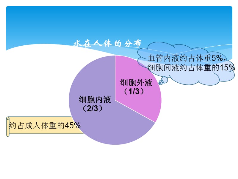 营养学之水PPT课件_第3页