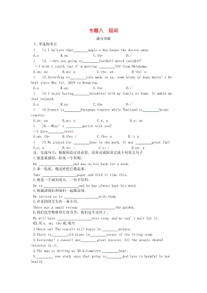 陜西省2019年中考英語總復(fù)習(xí) 專題八 冠詞滿分突破試題（含解析）.doc