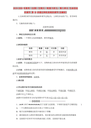 2019-2020年高考（全國）生物大一輪復(fù)習(xí)講義：第八單元 生命活動的調(diào)節(jié) 第30講通過神經(jīng)系統(tǒng)的調(diào)節(jié)(含解析).doc