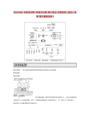 2019-2020年高考生物一輪復(fù)習(xí)方案 第三單元 生物變異、進(jìn)化、育種 新人教版必修2.doc