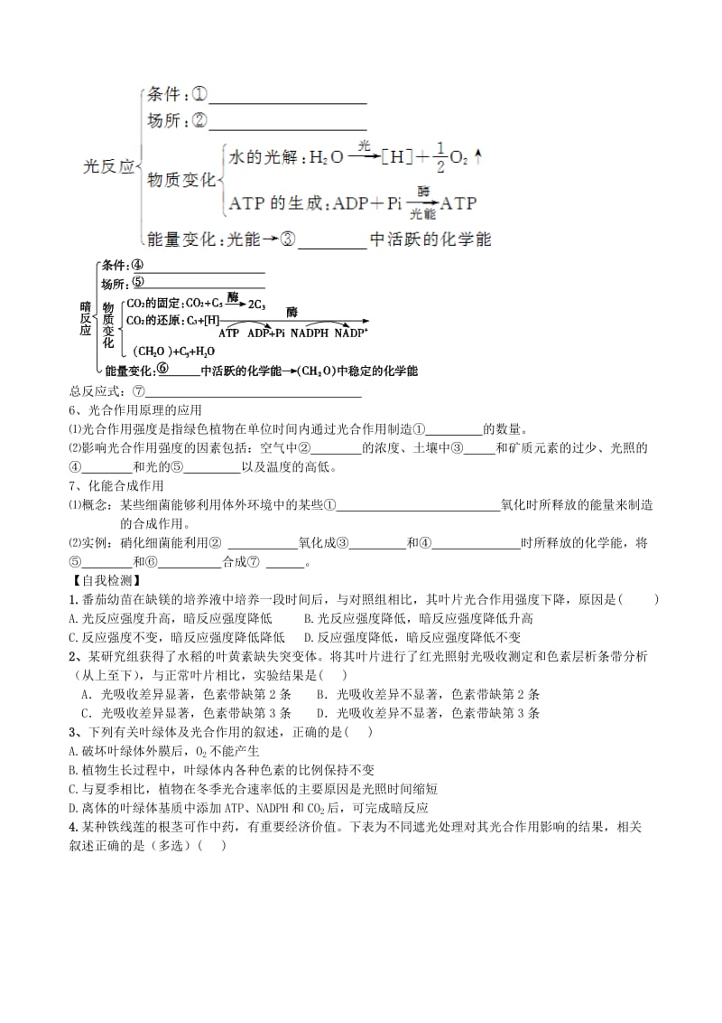 2019-2020年高考生物总复习 第10讲 光合作用学案 新人教版必修1.doc_第2页