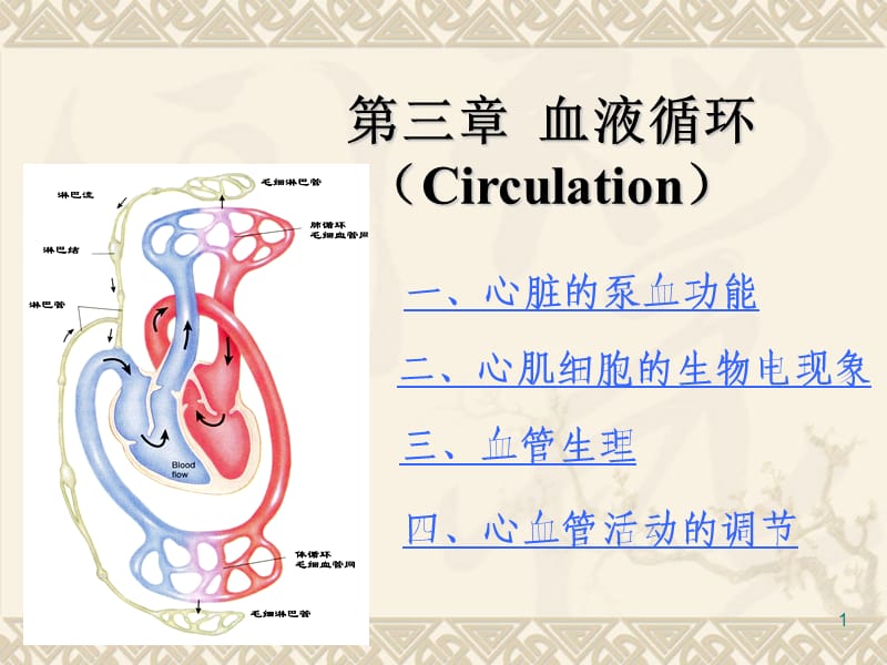 心血管活动的调节ppt课件_第1页