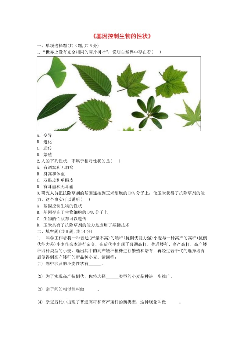 河南省永城市八年级生物下册 7.2.1《基因控制生物的性状》综合训练（新版）新人教版.doc_第1页