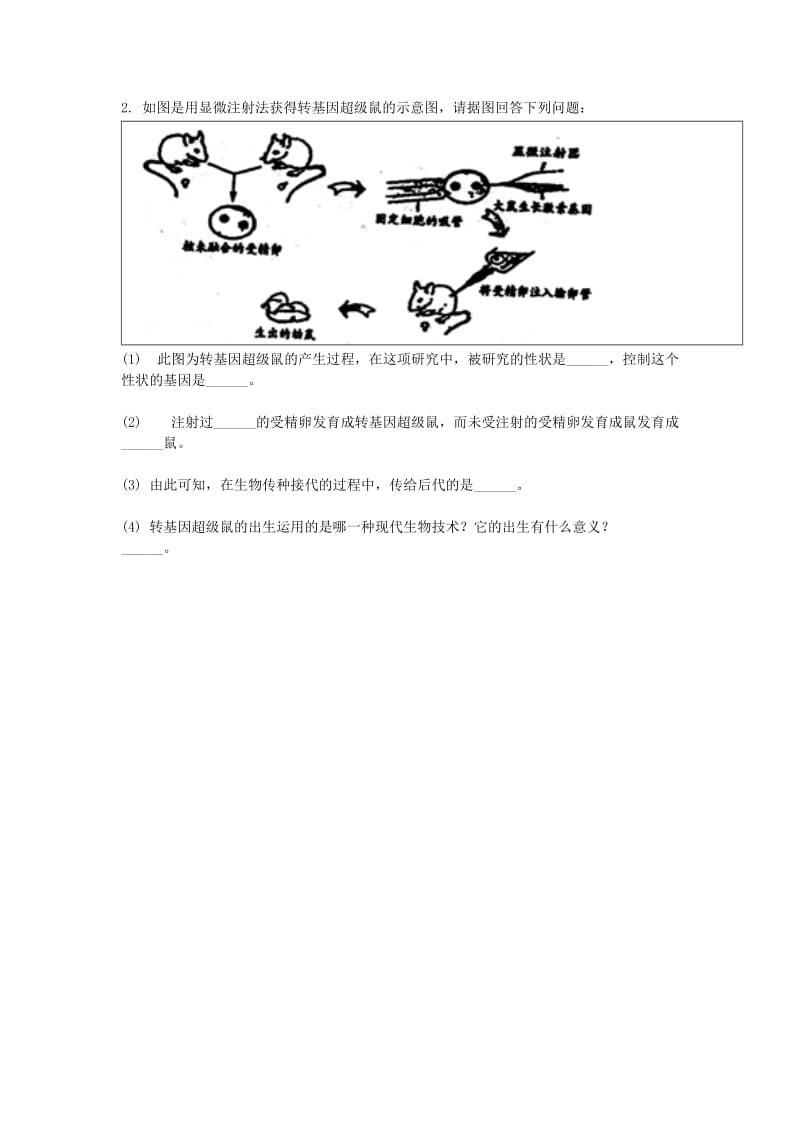 河南省永城市八年级生物下册 7.2.1《基因控制生物的性状》综合训练（新版）新人教版.doc_第2页