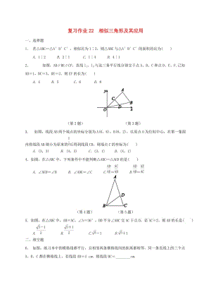 江蘇省淮安市淮陰區(qū)凌橋鄉(xiāng)九年級數(shù)學(xué)下學(xué)期復(fù)習(xí)作業(yè)22 相似三角形及其應(yīng)用.doc