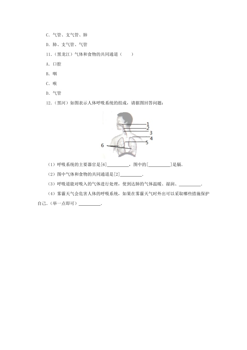 河北省七年级生物下册 2.3.1 呼吸道和肺同步练习 冀教版.doc_第3页