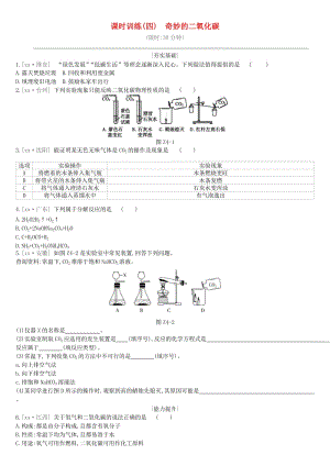 江蘇省徐州市2019年中考化學復習 第2章 身邊的化學物質 課時訓練04 奇妙的二氧化碳練習.doc