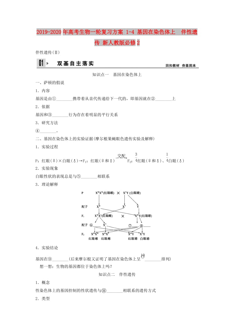 2019-2020年高考生物一轮复习方案 1-4 基因在染色体上　伴性遗传 新人教版必修2.doc_第1页