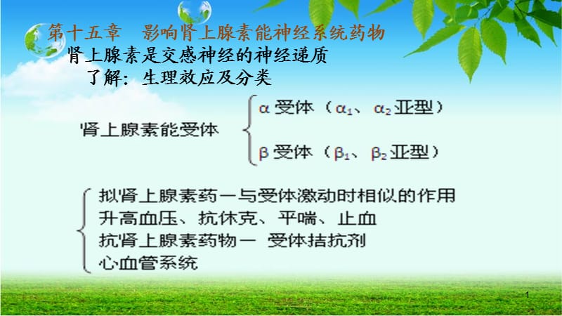 影响肾上腺素能神经系统药物ppt课件_第1页