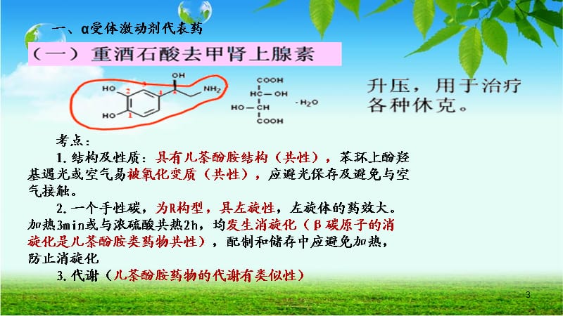 影响肾上腺素能神经系统药物ppt课件_第3页