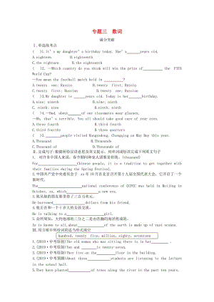 陜西省2019年中考英語總復習 專題三 數(shù)詞滿分突破試題（含解析）.doc