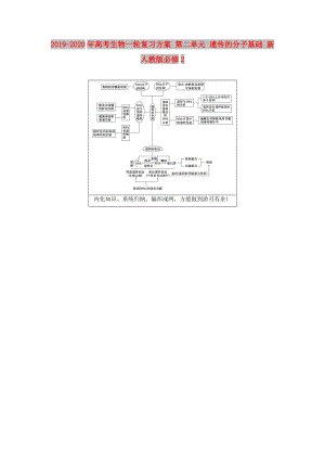 2019-2020年高考生物一輪復習方案 第二單元 遺傳的分子基礎(chǔ) 新人教版必修2.doc