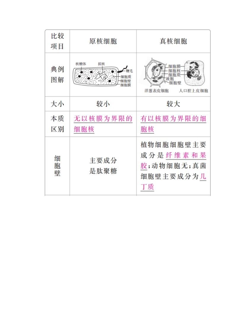 全国版2019版高考生物一轮复习第1讲走近细胞培优学案.doc_第3页