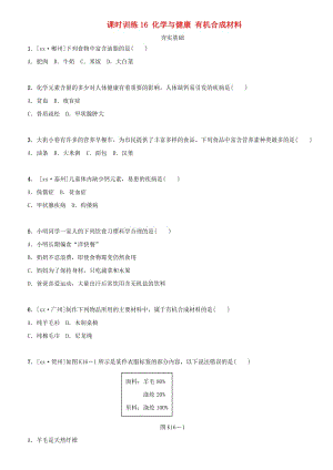 湖南省中考化學(xué)復(fù)習(xí) 課時(shí)訓(xùn)練16 化學(xué)與健康 有機(jī)合成材料練習(xí).doc