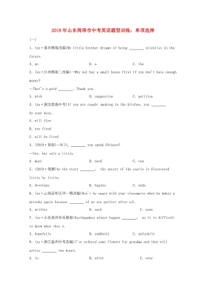 山東省菏澤市2019年中考英語題型訓(xùn)練 單項(xiàng)選擇.doc