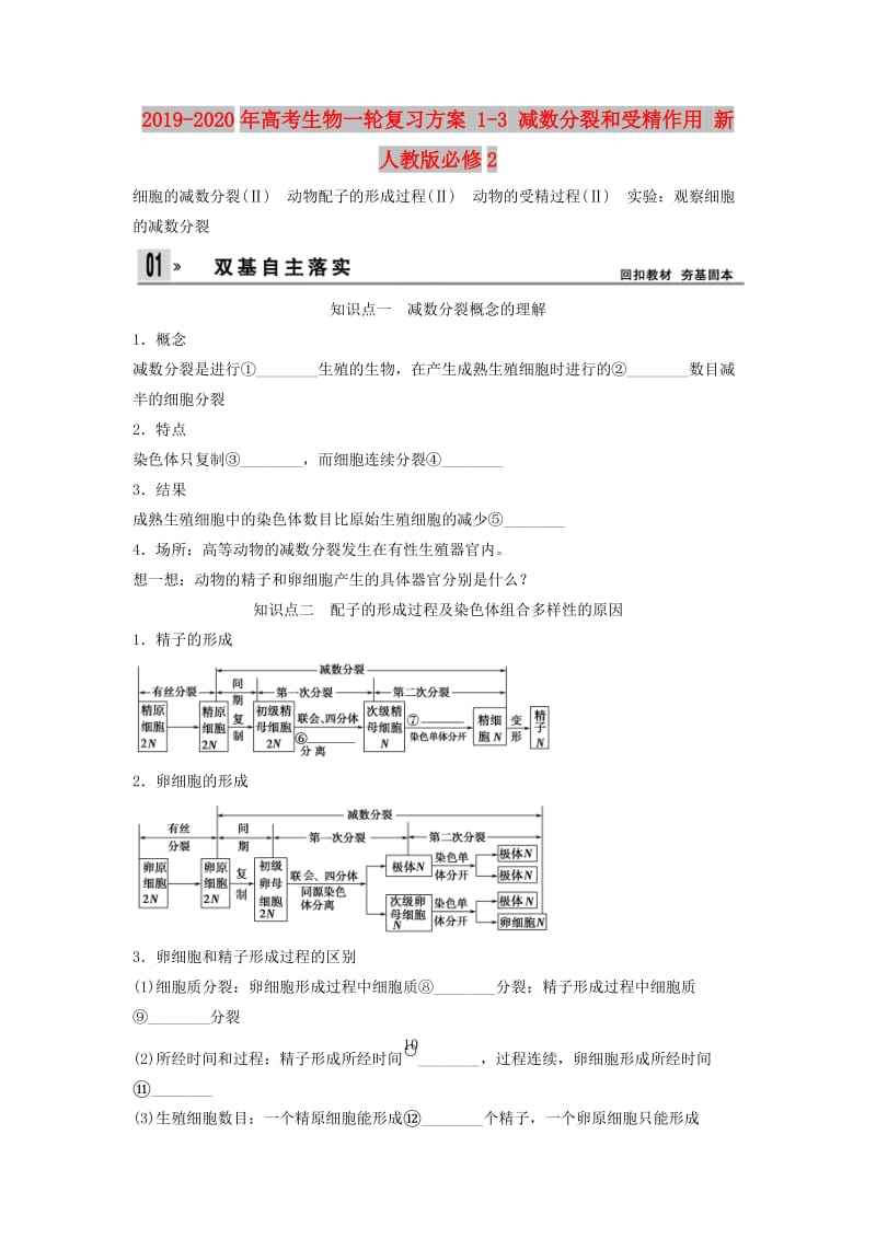 2019-2020年高考生物一轮复习方案 1-3 减数分裂和受精作用 新人教版必修2.doc_第1页