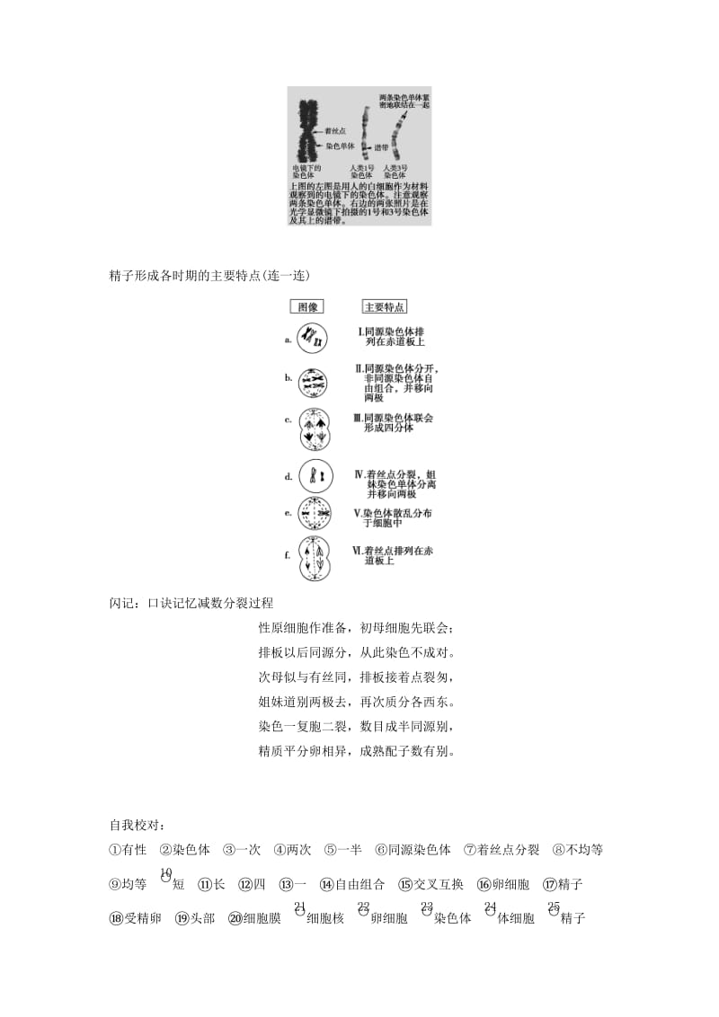 2019-2020年高考生物一轮复习方案 1-3 减数分裂和受精作用 新人教版必修2.doc_第3页