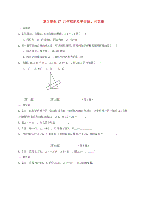 江蘇省淮安市淮陰區(qū)凌橋鄉(xiāng)九年級(jí)數(shù)學(xué)下學(xué)期復(fù)習(xí)作業(yè)17 幾何初步及平行線(xiàn)、相交線(xiàn).doc