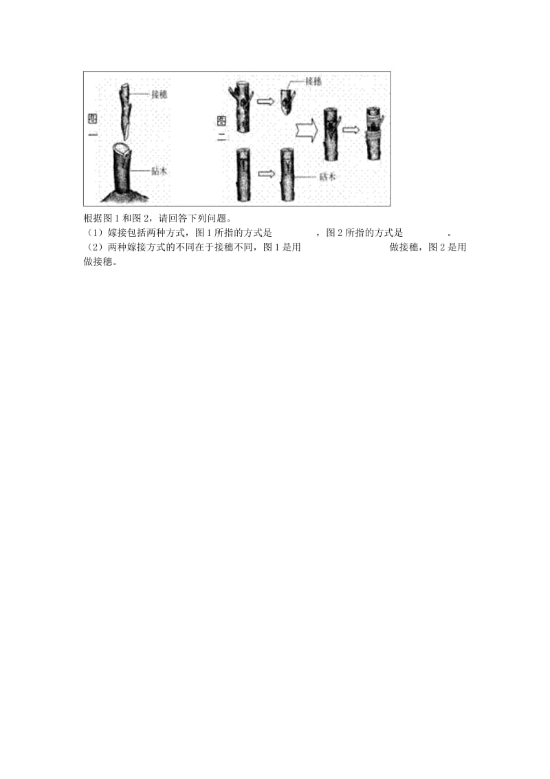 河南省永城市八年级生物下册 7.1.1《植物的生殖》能力提升（新版）新人教版.doc_第3页