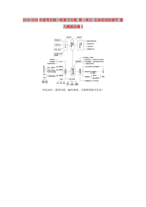 2019-2020年高考生物一輪復(fù)習(xí)方案 第一單元 生命活動的調(diào)節(jié) 新人教版必修3.doc