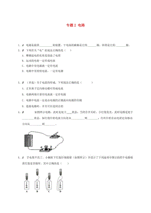 江蘇省大豐市九年級物理上冊 13.1 初識家用電器和電路 專題2 電路課程講義 （新版）蘇科版.doc