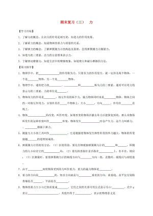 江蘇省高郵市八年級(jí)物理下冊(cè) 期末復(fù)習(xí)（三）力導(dǎo)學(xué)案 蘇科版.doc