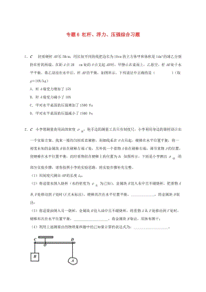 江蘇省大豐市九年級物理上冊 11.1 杠桿 專題6 杠桿、浮力、壓強(qiáng)課程講義 （新版）蘇科版.doc