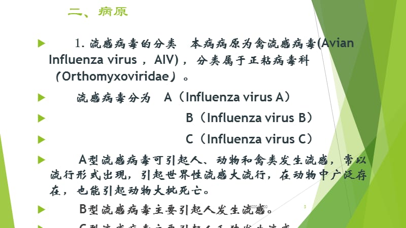 有关禽流感PPT_第3页