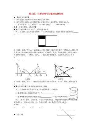 期八年級數(shù)學(xué)上冊 專題提高講義 第3講 勾股定理與實(shí)數(shù) 北師大版.doc