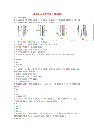 河南省永城市八年級(jí)生物下冊(cè) 7.2.3《基因的顯性和隱性》能力提升（新版）新人教版.doc