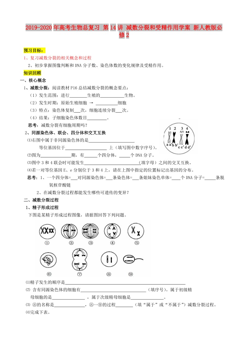 2019-2020年高考生物总复习 第14讲 减数分裂和受精作用学案 新人教版必修2.doc_第1页