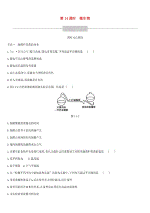 廣東省深圳市2019年中考生物 主題復習七 生物的多樣性 第14課時 微生物練習.doc