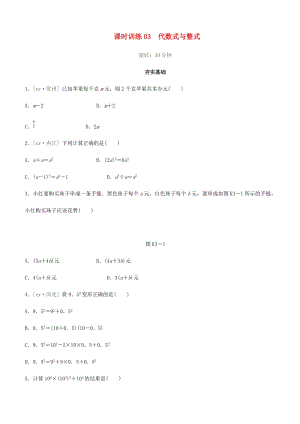 福建省2019年中考數(shù)學(xué)總復(fù)習(xí) 第一單元 數(shù)與式 課時訓(xùn)練03 代數(shù)式與整式練習(xí).doc