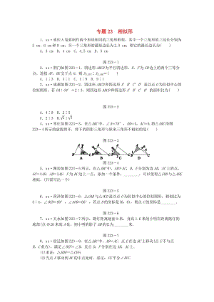2019年中考数学专题复习小训练专题23相似形.doc