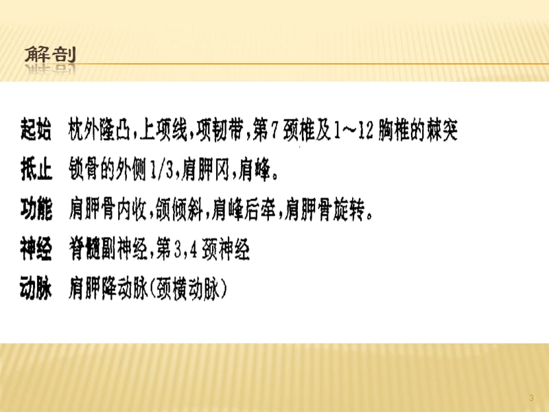 斜方肌损伤诊断及治疗ppt课件_第3页