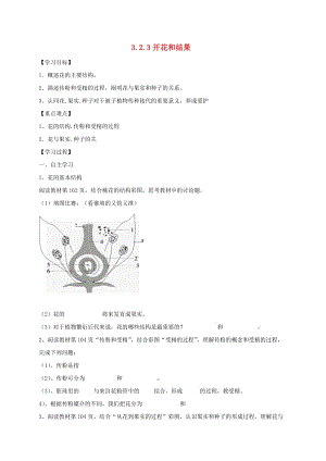 陜西省寶雞市七年級(jí)生物上冊(cè) 3.2.3開(kāi)花和結(jié)果學(xué)案（新版）新人教版.doc